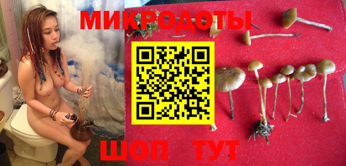 Псилоцибиновые грибы Cubensis  Вход с VPN  Курганинск 